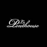 Lepenthouse Profile Picture